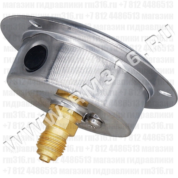 1201-63F-600 Манометр гидравлический виброустойчивый (глицериновый) с фланцем, 0-600 бар, 0-9000 psi, диаметр 63 мм, резьба 1/4" BSP, осевое присоединение (сзади), без первичной поверки (RITHERM, Китай)