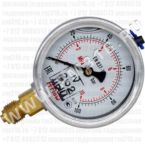 G22-S-4G-63A-100bar-VE-GW Манометр виброустойчивый с первичной поверкой, радиальное присоединение 